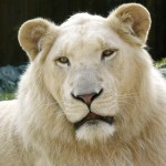 Zoo Bratislava